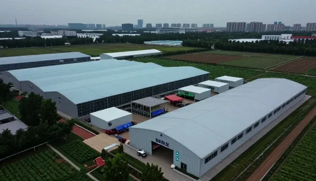 技术开发过程中常见问题的排查与解决策略